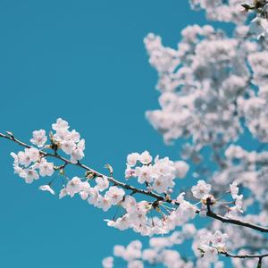 偷拍吊钟乳少妇高潮
